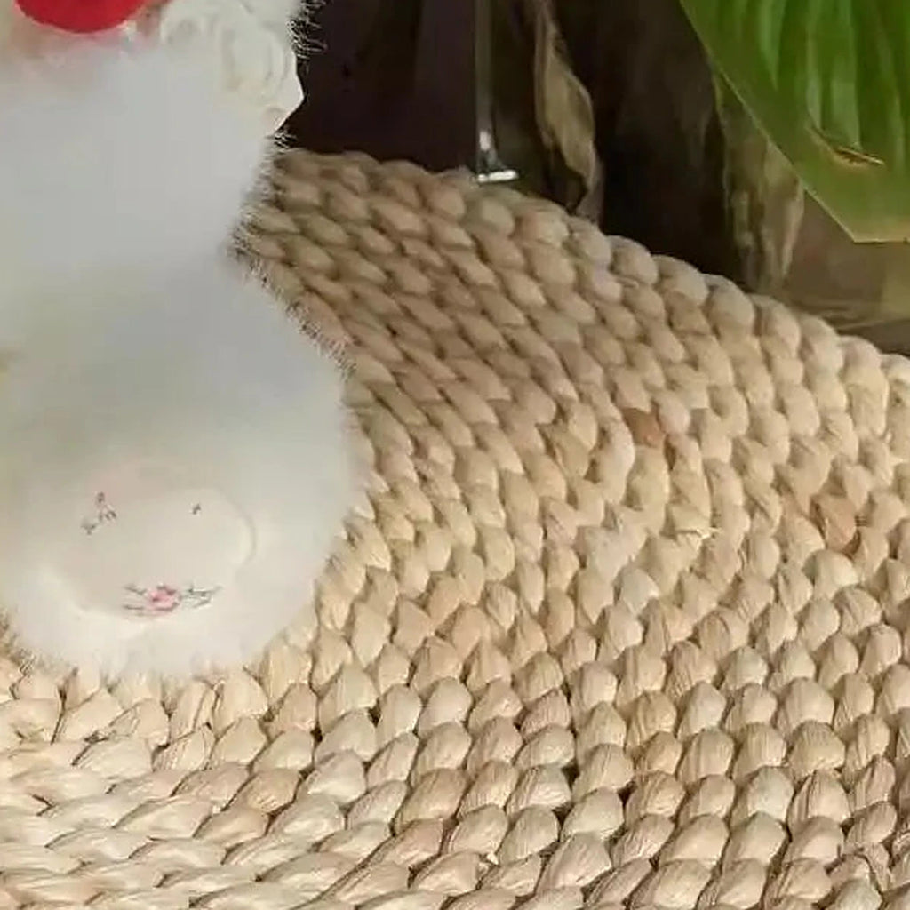 peluche agneau rouge avec roses en situation