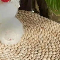 peluche agneau rouge avec roses en situation