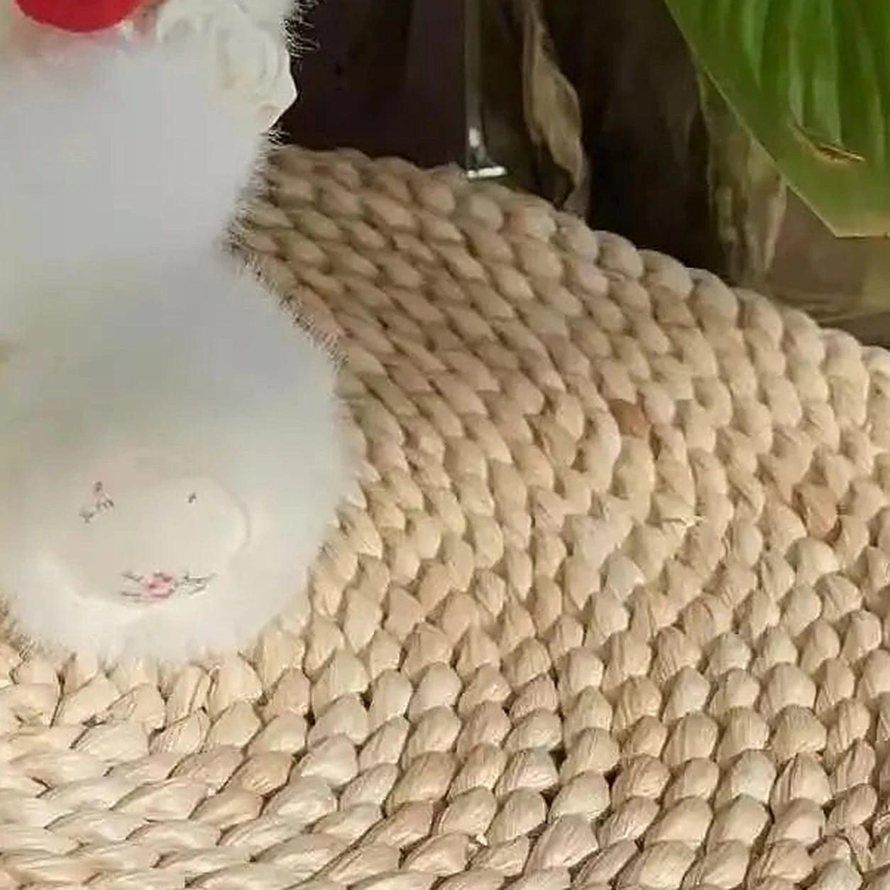 peluche agneau rouge avec roses en situation