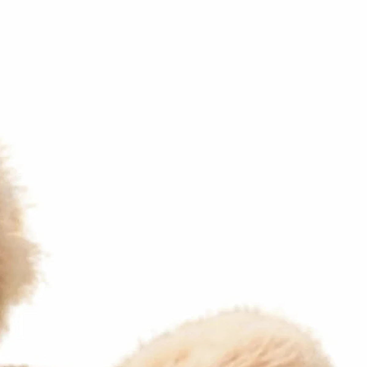 peluche cheval brun fonce dos