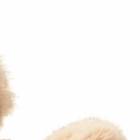 peluche cheval brun fonce dos