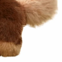 peluche cheval brun fonce situation