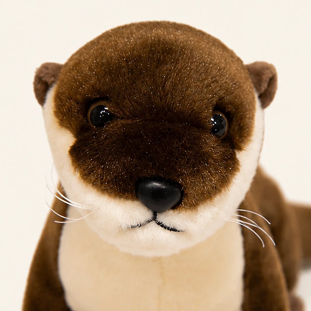 peluche detail