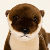 peluche detail