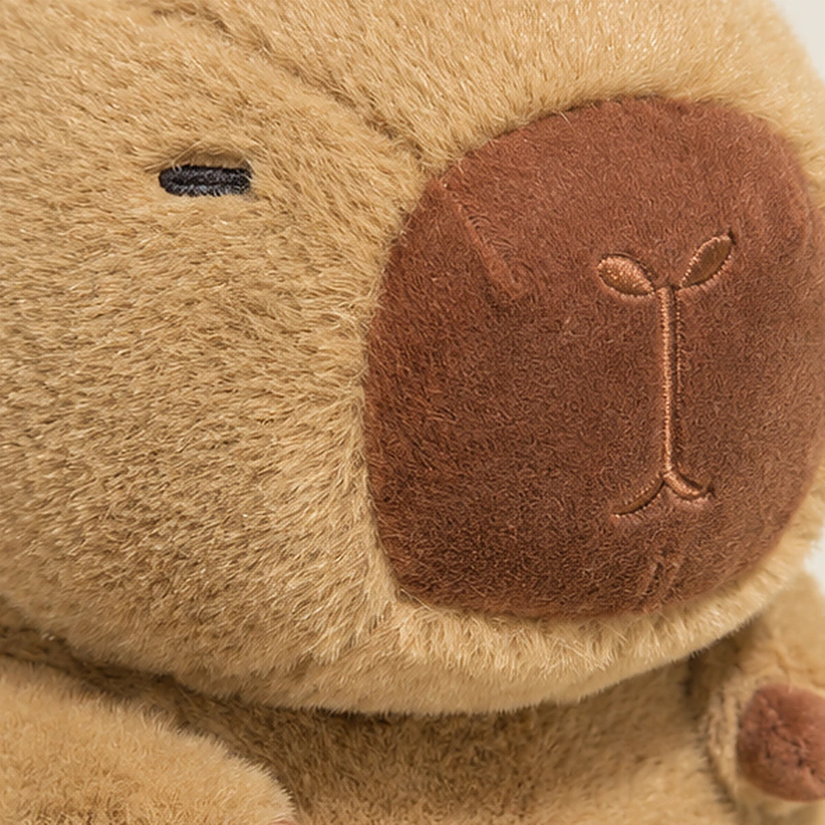 peluche detail