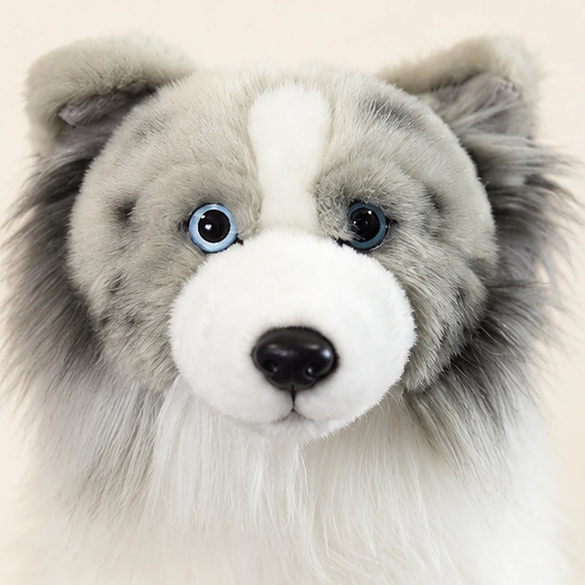 Peluche berger shetland bleu merle realiste 25 cm gros plan visage