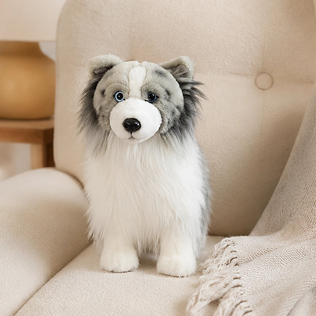 Peluche berger shetland bleu merle realiste 25 cm en situation