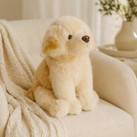 peluche labrador realiste en situation interieur